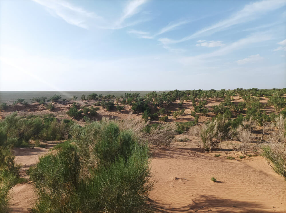 Mongolia - pustynia Gobi