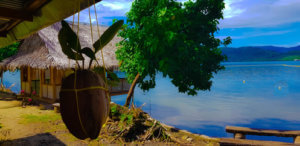Wycieczka do mikronezji - Pohnpei
